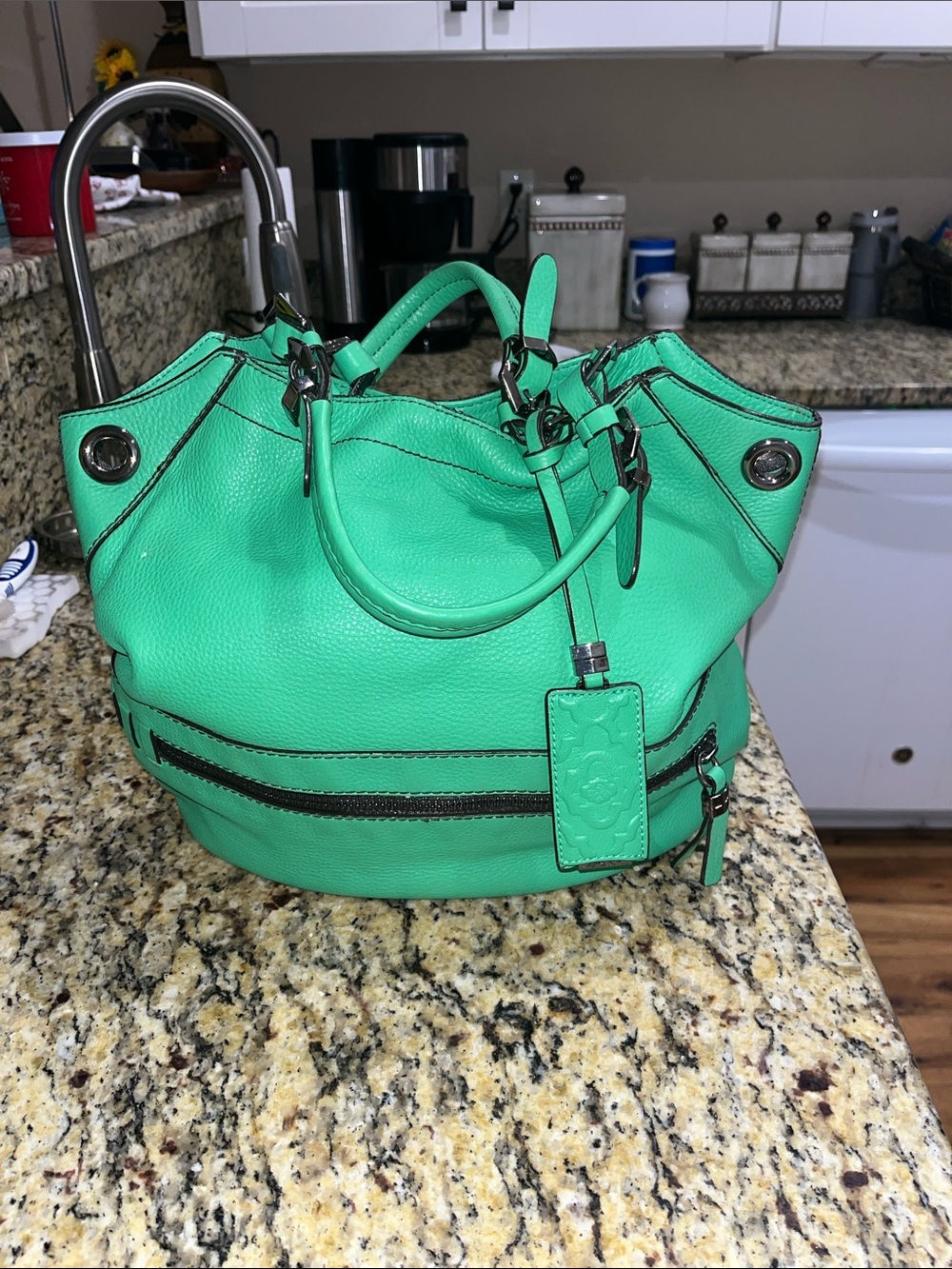 EUC OrYany Slouch Mint Green Hobo Leather Handbag